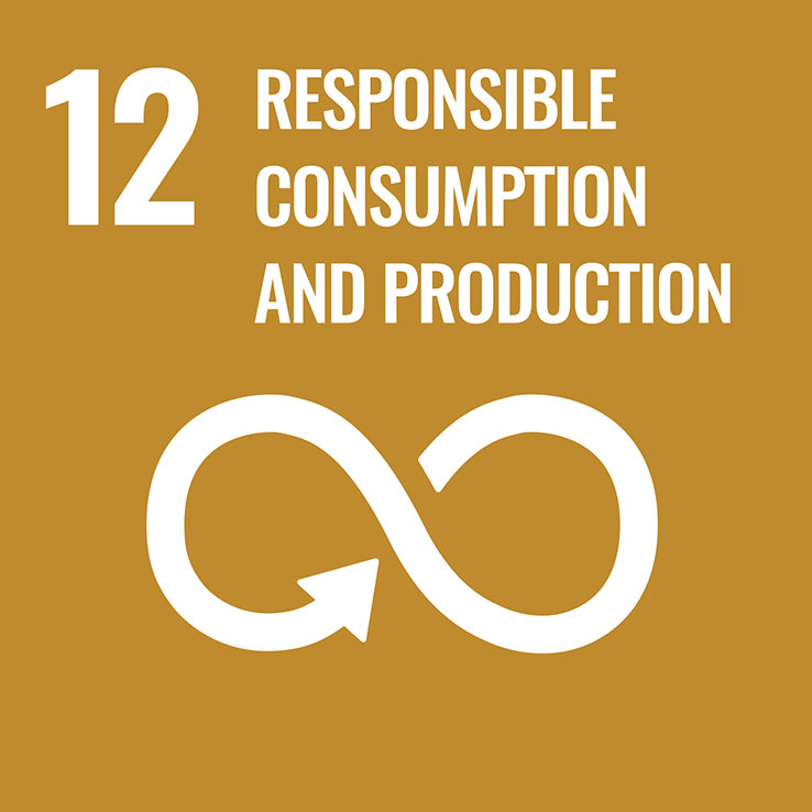 Number of countries developing, adopting or implementing policy instruments aimed at supporting the shift to sustainable consumption and production