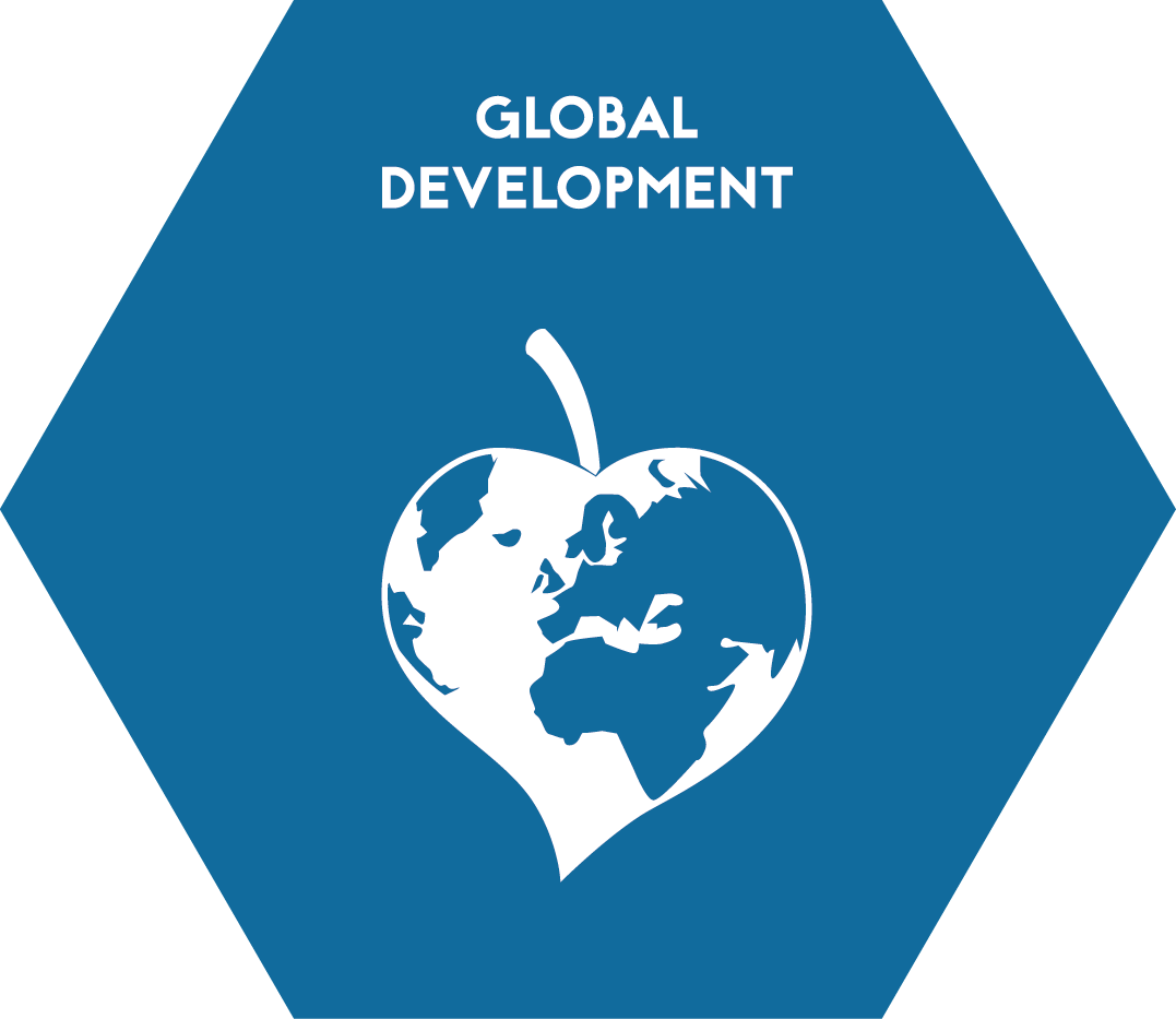 Representation of the CZ in elected bodies of the most important international organizations relevant for sustainable development