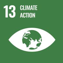 Take urgent action to combat climate change and its impacts10