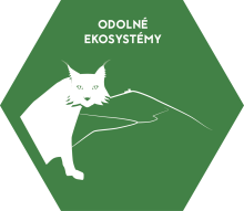 Odolné ekosystémy