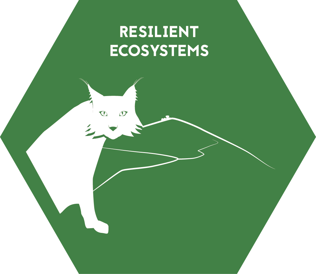 Resilient ecosystems